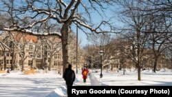 资料照片:芝加哥大学校园。