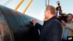 资料照:俄罗斯总统普京出席连接中俄的天然气管道“西伯利亚力量”开工仪式。(2014年9月1日)