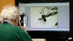 ဖလော်ရီဒါရှိ ဇီကာရောဂါဆိုင်ရာ ဓါတ်ခွဲခန်းတခု