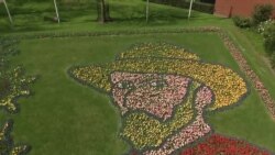 နယ်သာလန်က ကျူးလစ်ပန်းခင်းကြီးတွေ နယ်သာလန်က ကျူးလစ်ပန်းခင်းကြီးတွေ