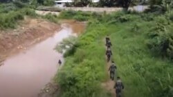 ထိုင်းမြောက်ပိုင်း မြန်မာနယ်စပ်မှာ သံဆူးကြိုး ကာရံ ထိုင်းမြောက်ပိုင်း မြန်မာနယ်စပ်မှာ သံဆူးကြိုး ကာရံ