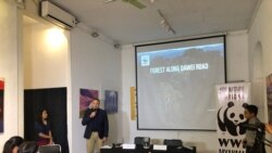 ထားဝယ်-ထီးခီး လမ်းစီမံကိန်း ရှားပါးတောရိုင်းတွေကိုထိခိုက် ထားဝယ်-ထီးခီး လမ်းစီမံကိန်း ရှားပါးတောရိုင်းတွေကိုထိခိုက်