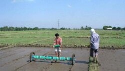 စုပေါင်းလယ်ယာ လုပ်နိုင်မလား စုပေါင်းလယ်ယာ လုပ်နိုင်မလား