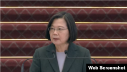 2020年3月19日台湾总统蔡英文在台北总统府针对新冠病毒疫情发表讲话。(台湾总统府视频截图)