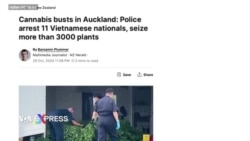 11 công dân Việt Nam bị bắt giữ ở New Zealand vì trồng cần sa 11 công dân Việt Nam bị bắt giữ ở New Zealand vì trồng cần sa