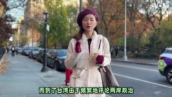 【美中对标】台湾媳妇 中共反贼 纽约印象