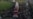 16x9 Image