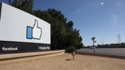 2020美国大选对推特和脸书命运攸关 2020美国大选对推特和脸书命运攸关