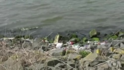 美国万花筒:“气泡墙”清理水中塑料垃圾高手 美国万花筒:“气泡墙”清理水中塑料垃圾高手