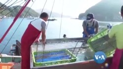 ဒီသီတင်းပတ် အာရှစီးပွားရေး ဒီသီတင်းပတ် အာရှစီးပွားရေး