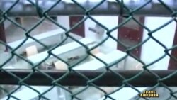 У Ґвантанамо - масове голодування У Ґвантанамо - масове голодування