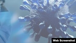 众议院外交委员会少数党有关新冠病毒起源和武汉病毒所的调查报告封面(局部)