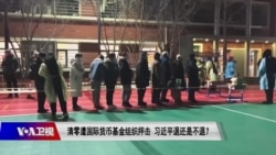 时事大家谈:清零遭国际货币基金组织抨击,习近平退还是不退? 时事大家谈:清零遭国际货币基金组织抨击,习近平退还是不退?