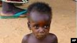 在西非的干旱中,儿童的境遇最糟糕(资料照片)