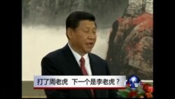 焦点对话:打了周老虎,下一个是李老虎? 焦点对话:打了周老虎,下一个是李老虎?