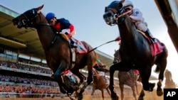 Belmont Stakes Horse Racing in Elmont, N.Y.