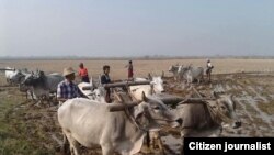 ټاکل شوې چې د بامیان ولایت تر یوې راتلونکې اونۍ پورې د سارک هیوادونو د فرهنگي مرکز په توگه اعلان شي.<br />
 