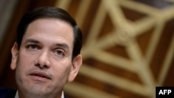 资料照:共和党联邦参议员鲁比奥(Sen. Marco Rubio, R-FL)出席听证会(2019年3月7日)