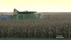 2 тижні без уряду дорого обійшлися фермерам 2 тижні без уряду дорого обійшлися фермерам