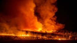 တောမီးကြောင့် ကယ်လီဖိုးနီးယားမှာ လူ ၅ သောင်းလောက် ဘေးလွတ်ရာပြောင်းရွှေ့ တောမီးကြောင့် ကယ်လီဖိုးနီးယားမှာ လူ ၅ သောင်းလောက် ဘေးလွတ်ရာပြောင်းရွှေ့