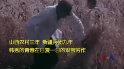 山西农村三年,新疆兵团九年 山西农村三年,新疆兵团九年