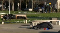 အင်္ဂလိပ်စာသင်ပေးတဲ့ မူဆလင် ကူညီစောင့်ရှောက်ရေးအဖွဲ့ အင်္ဂလိပ်စာသင်ပေးတဲ့ မူဆလင် ကူညီစောင့်ရှောက်ရေးအဖွဲ့