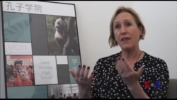 中国加深与美文化交流:有人喜有人忧 中国加深与美文化交流:有人喜有人忧