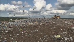 垃圾站养活番茄农场 垃圾站养活番茄农场