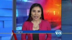 နေ့စဉ် တီဗွီသတင်းလွှာ (၁၀-၁၉-၂၀၂၀)  နေ့စဉ် တီဗွီသတင်းလွှာ (၁၀-၁၉-၂၀၂၀)