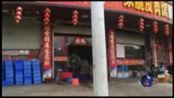 VOA卫视 (2016年6月20日第二小时节目)