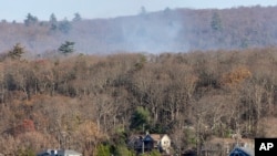资料照片:美国新泽西州格林伍德湖湖滨地区出现野火。(2024年11月11日)
