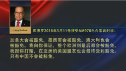 VOA连线(黄耀毅):新任白宫经济顾问库德罗:中国将是唯一被征收关税的国家 VOA连线(黄耀毅):新任白宫经济顾问库德罗:中国将是唯一被征收关税的国家