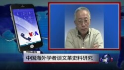 VOA连线高伐林: 中国海外学者谈文革史料研究 VOA连线高伐林: 中国海外学者谈文革史料研究
