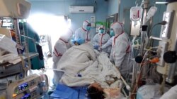 တရုတ် ကြက်ငှက်တုတ်ကွေး သေဆုံးသူ ၇၉ ဦးထိ ရှိ တရုတ် ကြက်ငှက်တုတ်ကွေး သေဆုံးသူ ၇၉ ဦးထိ ရှိ