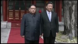 焦点对话:习、金握手,世界是福还是祸? 焦点对话:习、金握手,世界是福还是祸?