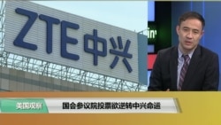 时事看台(萧洵):国会参议院投票欲逆转中兴命运 时事看台(萧洵):国会参议院投票欲逆转中兴命运