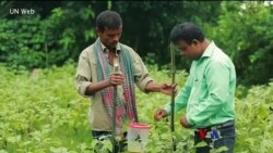 ဘင်္ဂလားဒေ့ရှ် ရာသီဥတုဘေး အကူအညီလိုအပ် ဘင်္ဂလားဒေ့ရှ် ရာသီဥတုဘေး အကူအညီလိုအပ်