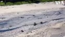 ရေခူတွေဖုံးသွားတဲ့ ခရိုင်းမီးယားကမ်းခြေ ရေခူတွေဖုံးသွားတဲ့ ခရိုင်းမီးယားကမ်းခြေ