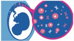 资料照:中国华大基因公司为其生产的妇女产前基因检测盒所做的广告。