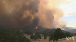 研究显示异常高温将成为常态 研究显示异常高温将成为常态