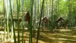 စစ်ကိုင်းတိုင်းအထက်ပိုင်းက ဝါးစိုက်ပျိုးရေး စီမံကိန်း စစ်ကိုင်းတိုင်းအထက်ပိုင်းက ဝါးစိုက်ပျိုးရေး စီမံကိန်း