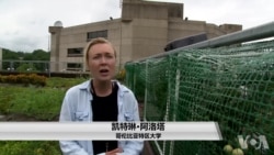 有益于人与自然的绿色屋顶 有益于人与自然的绿色屋顶