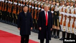 资料照片:2017年11月9日美国时任总统特朗普与中国国家主席习近平(路透社)