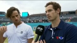 တပတ်အတွင်း အားကစား တပတ်အတွင်း အားကစား