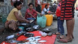 ကိုဗစ်ကပ်ဘေးနဲ့ တိုက်ပွဲတွေကြောင့် ရခိုင်ရေလုပ်ငန်း ထိခိုက်နေ ကိုဗစ်ကပ်ဘေးနဲ့ တိုက်ပွဲတွေကြောင့် ရခိုင်ရေလုပ်ငန်း ထိခိုက်နေ