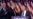 အိမ်ဖြူတော်အရာရှိချုပ် အဖြစ် Reince Priebus ကို Trump ခန့်