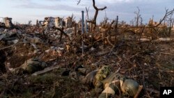 Тіла російських солдатів лежать на передовій в Андріївці, Донецька область, Україна, 16 вересня 2023 року. (AP Photo/Мстислав Чернов)