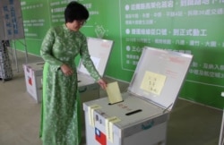 模拟投票 (民进党文宣提供)