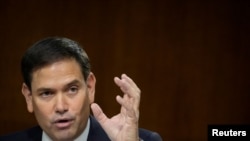 美国国会参议员马可·卢比奥(路透社资料图)