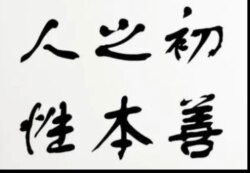 赵婷的获奖感言俘获众多人心。(网络截屏)